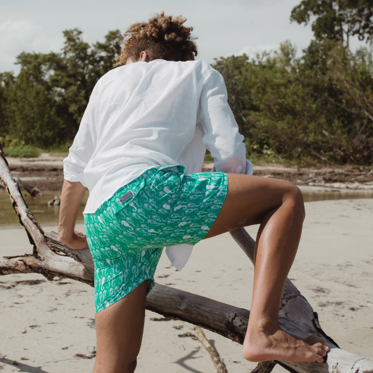 Aquamarine Seahorses Men Boardshorts