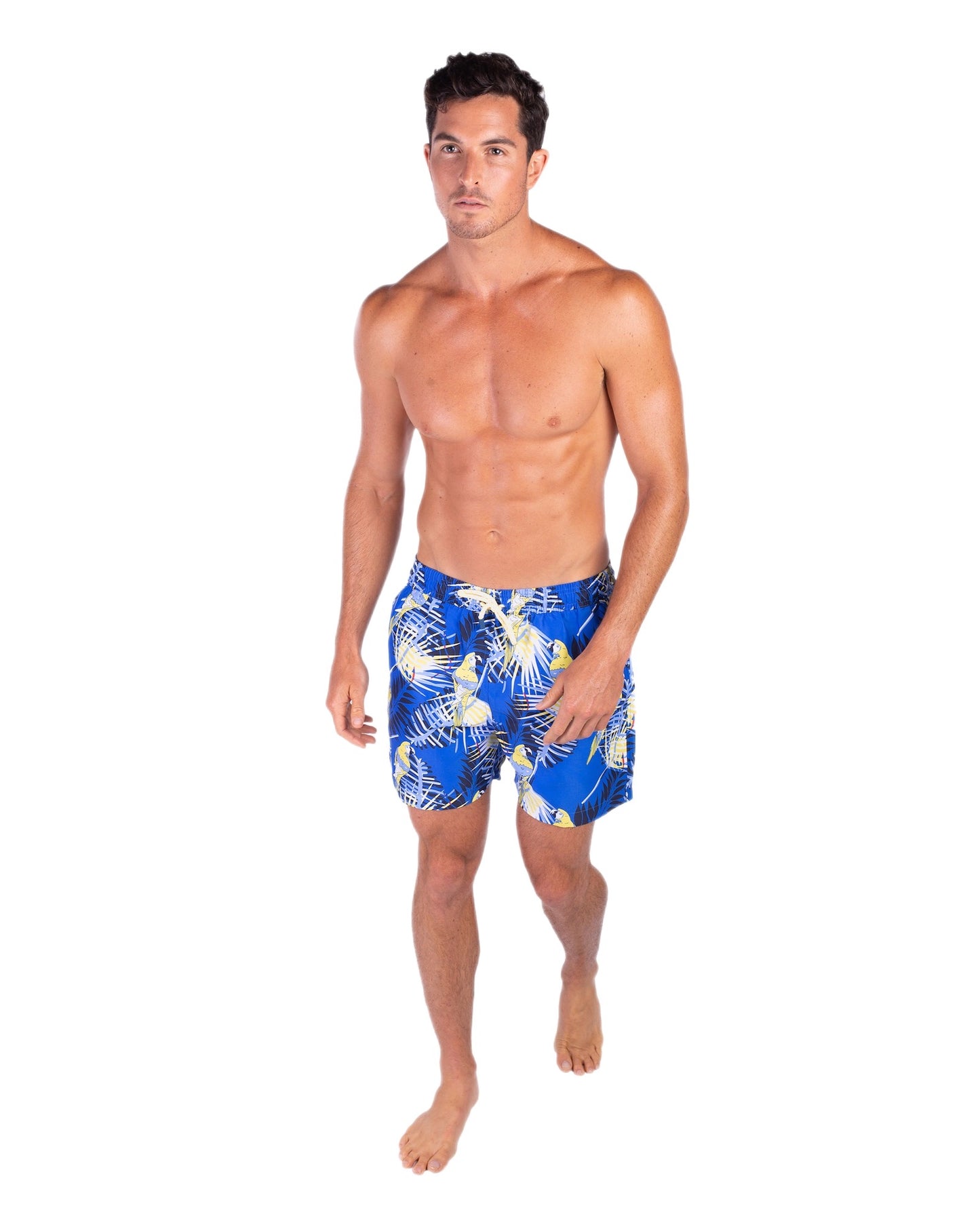 Blue Macaws swim shorts for men GUACA4 Tolu Australia