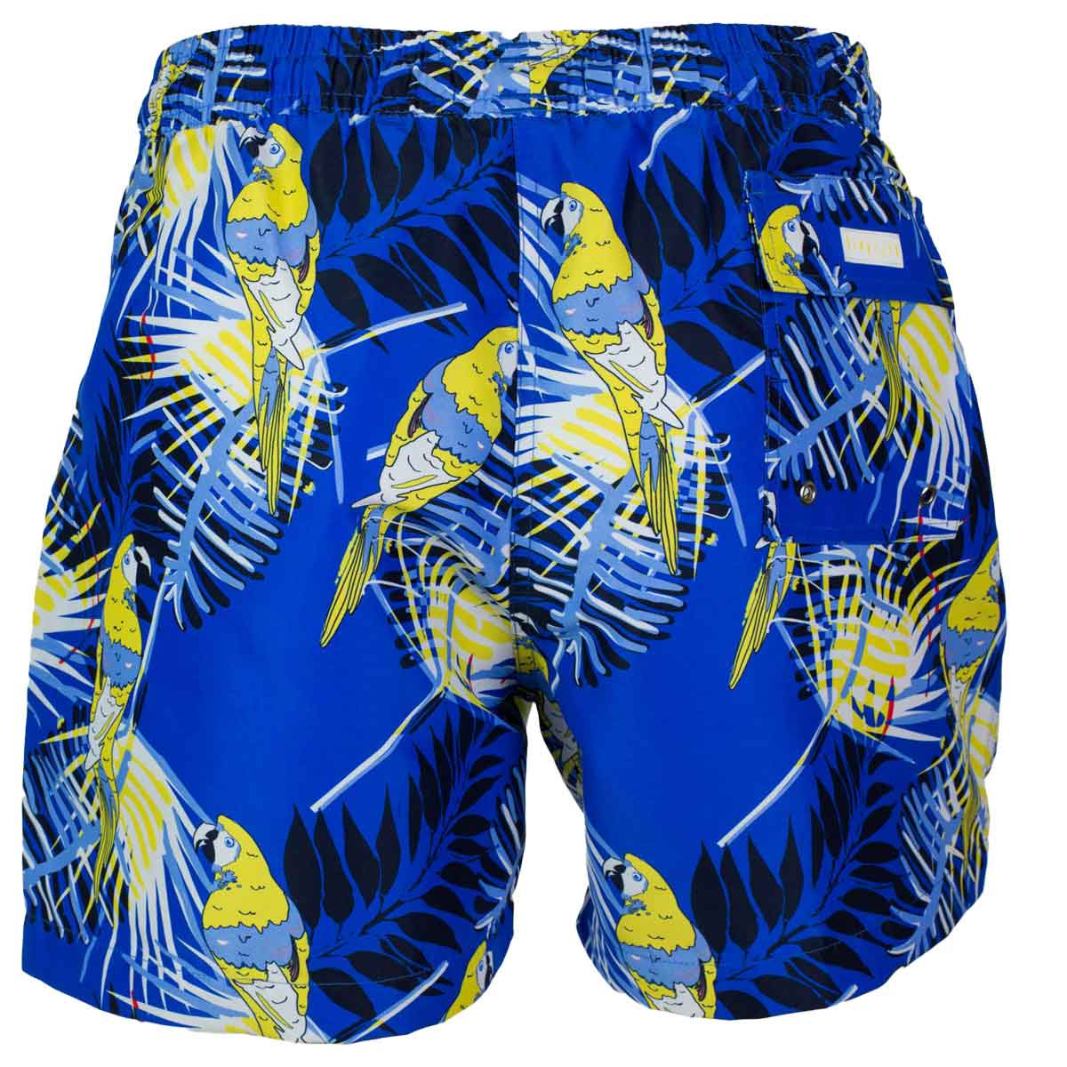 Blue Macaws Swim Shorts for Men Back Tolu Australia
