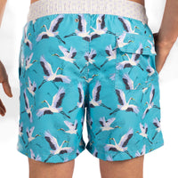 Grulla Azul board shorts for men Tolu Australia