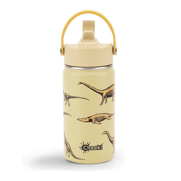 Insulated Water Bottle with Dinosaurs for Kids - 400 ml