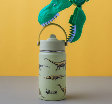 Insulated Water Bottle with Dinosaurs for Kids - 400 ml