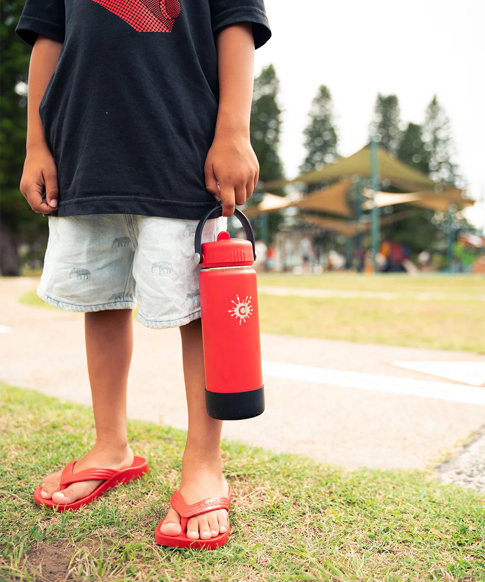 750ml Reusable Red Water Bottle With Straw Lid and Single Wall