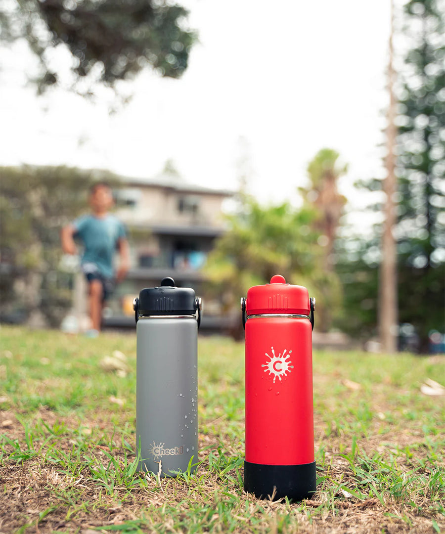 750ml Reusable Red Water Bottle With Straw Lid and Single Wall