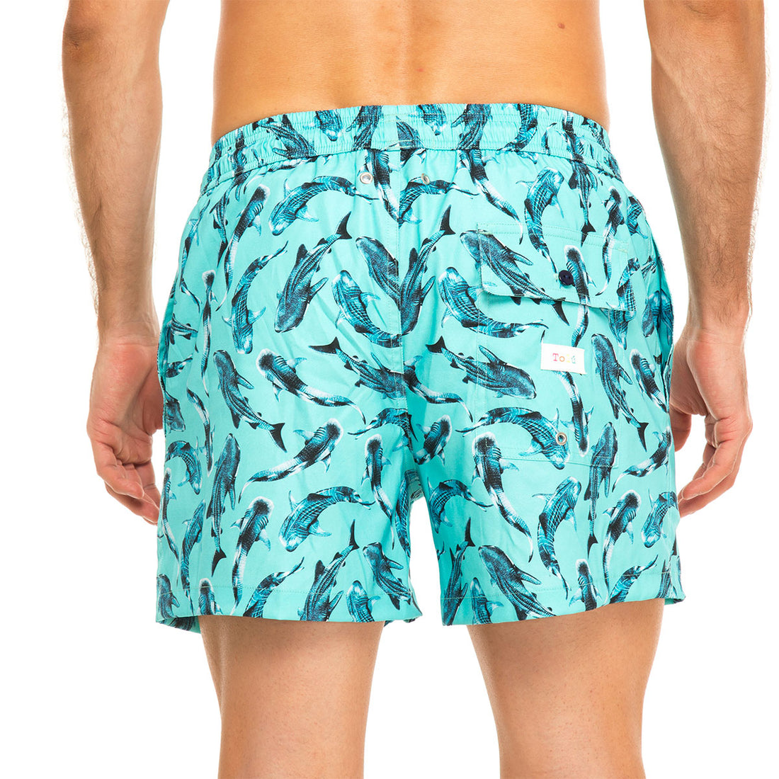 Blue Whale Sharks Men's Swim Shorts