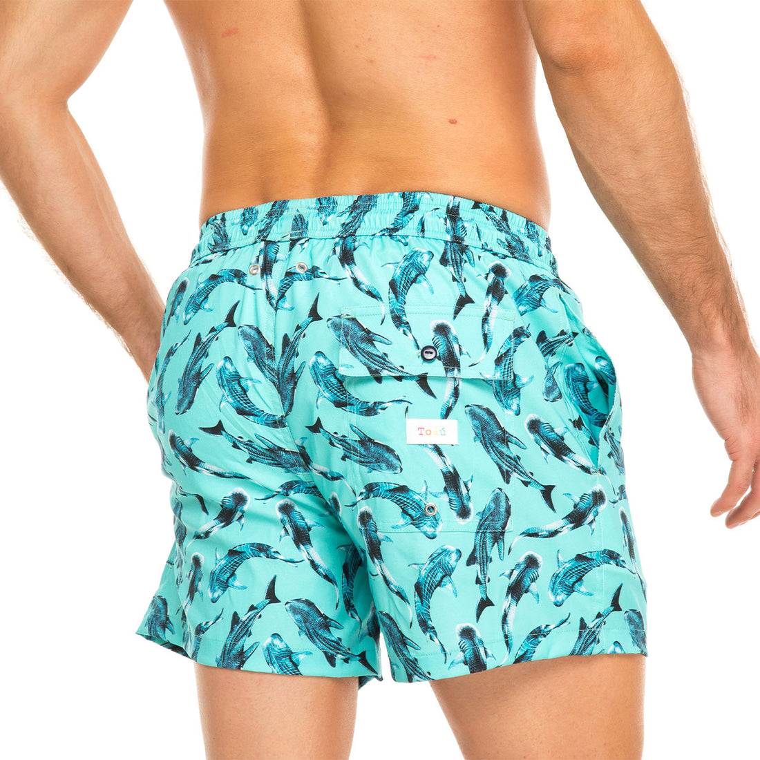 Blue Whale Sharks Swim Shorts Set