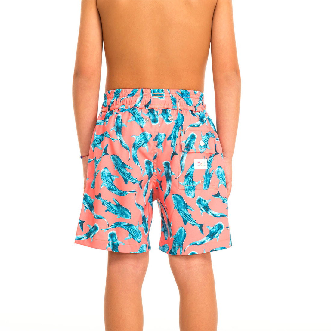 Orange Whale Sharks Swim Shorts Set