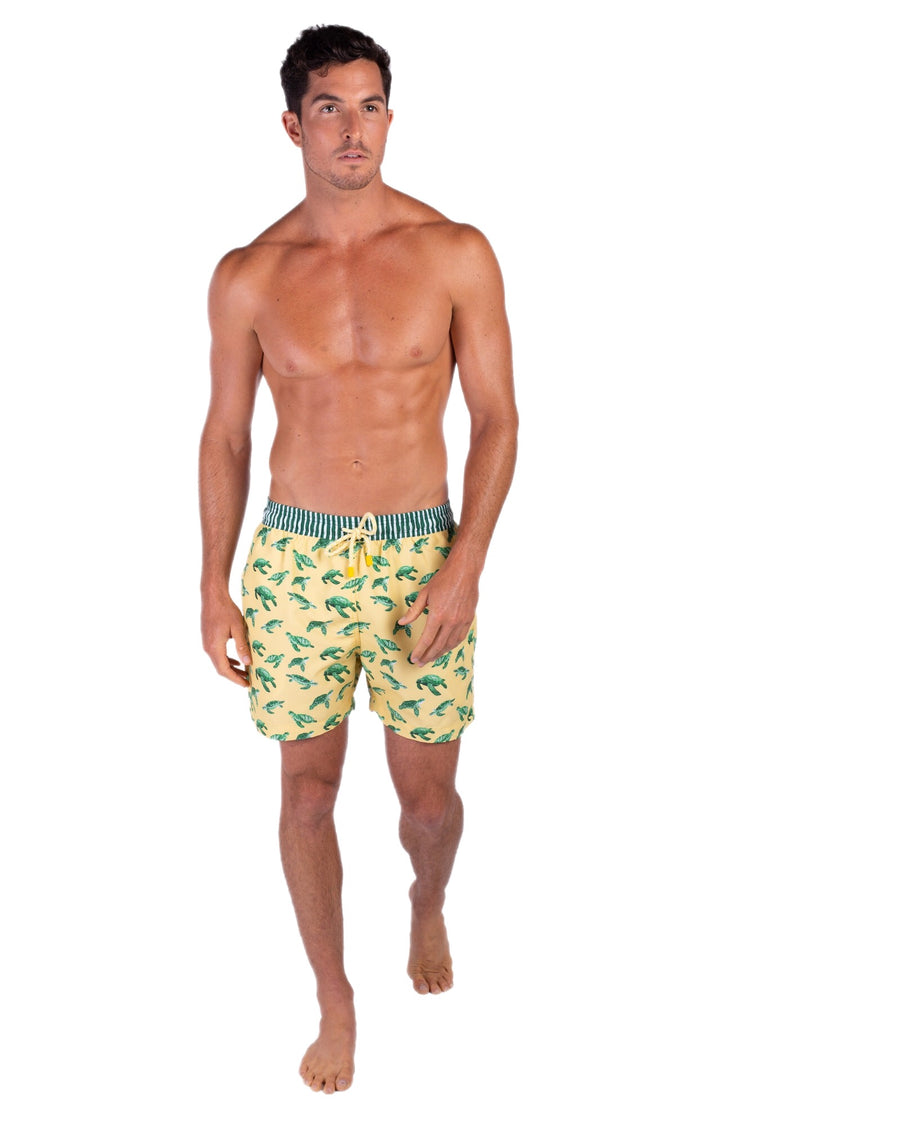 Beach Turtles swim shorts for men Tolu Australia TURT2