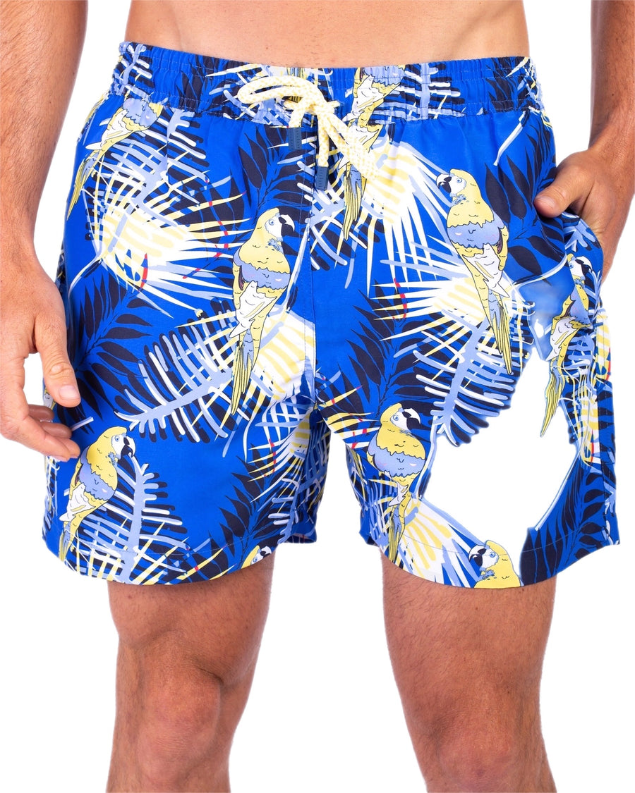 Blue Macaws swim shorts for men GUACA4 Tolu Australia