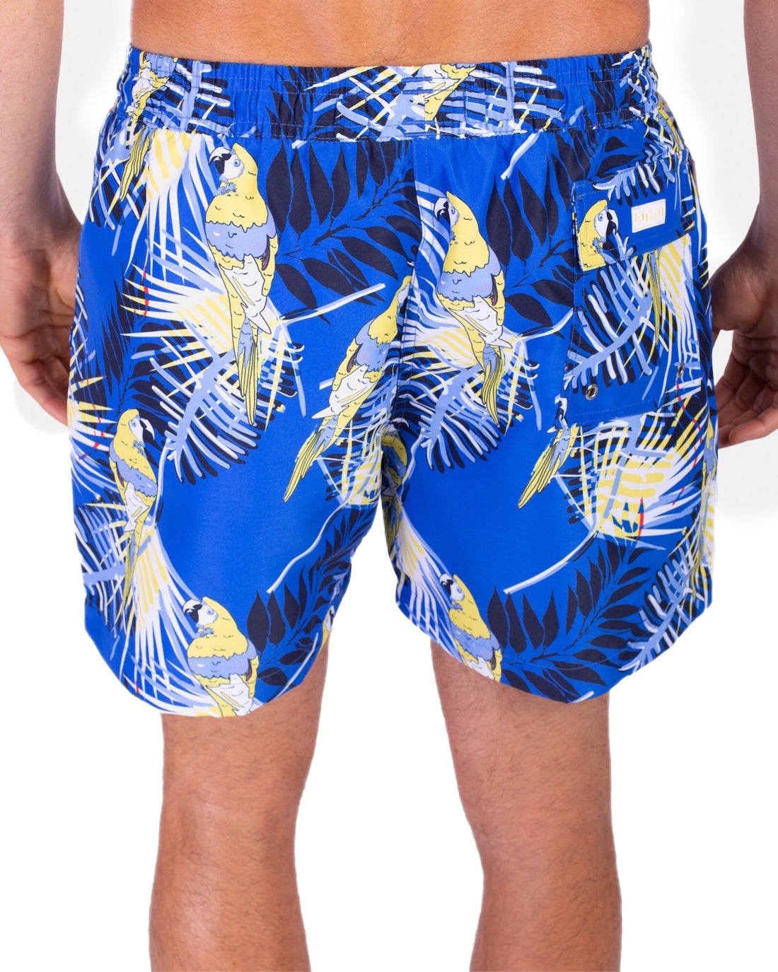Blue Macaws swim shorts for men GUACA4 Tolu Australia
