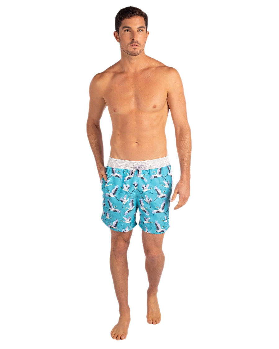 Grulla Azul board shorts for men Tolu Australia