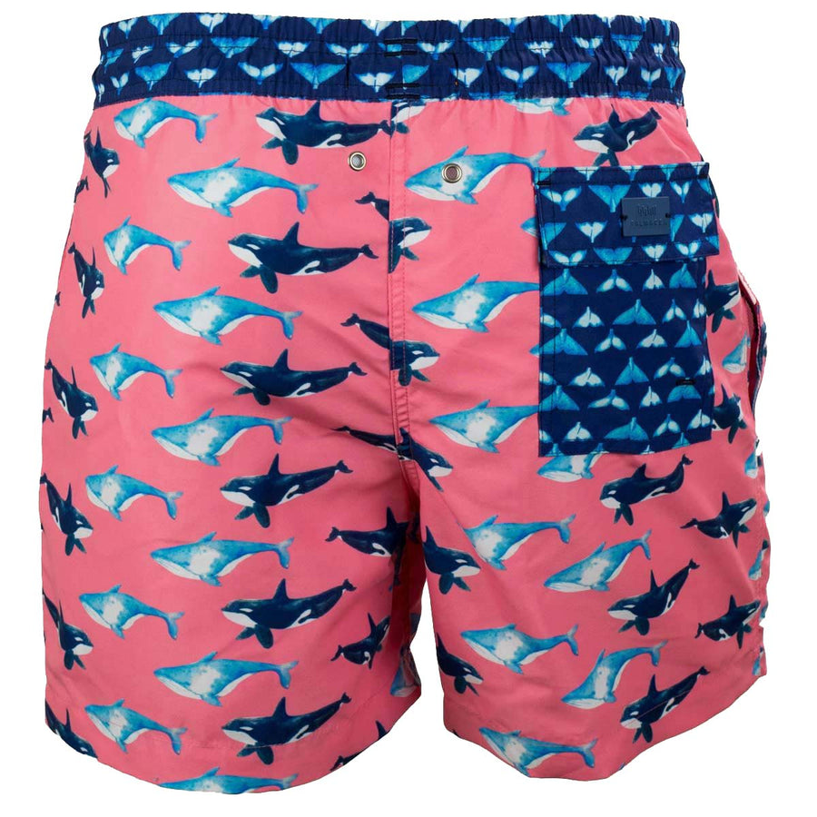 Pink Whales board shorts for men Tolu Australia