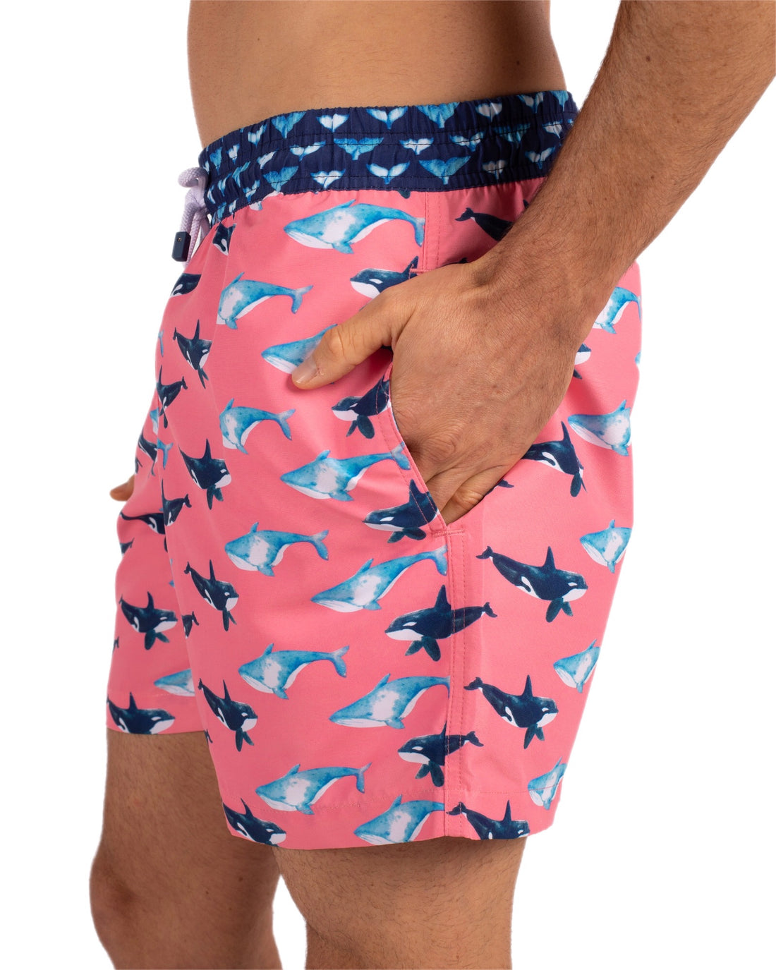 粉色鲸鱼短裤